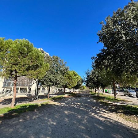 Apartamento De Diseno Con Gym Y Piscina Castellón de la Plana Exteriér fotografie